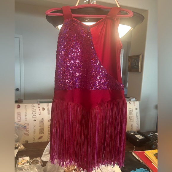 🎅🏻 SALE! REVOLUTION RED/FUCHSIA SEQUINED FRINGE JAZZ DANCE COSTUME SIZE MC - Picture 1 of 15
